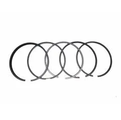 Set segmenti motor Perkins Ø 98.48 MM - STD 41158025, 41158041, 745746M91 - 1