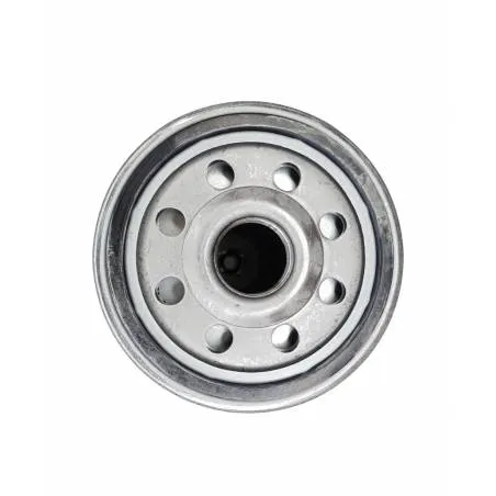 Filtru hidraulic Fiat 244192101/10, 244192701