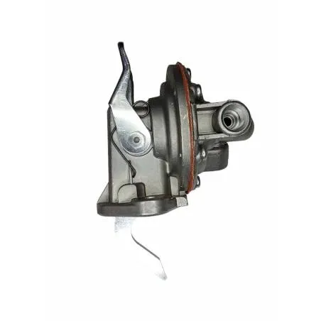 Pompa alimentare Perkins 25061524, 25066404 - 1