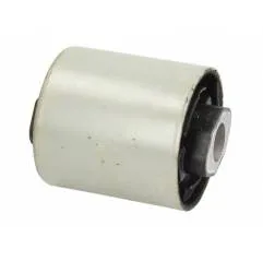 Bucsa cabina Man TGA/TGS/TGX 85962100019,85962100019S1 - 1