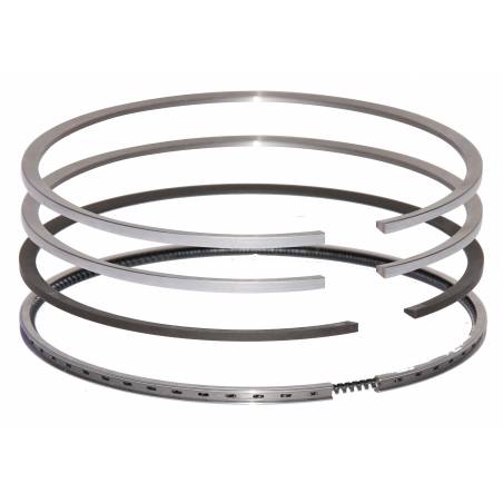 Set segmenti motor Fendt Fi 100 MM F281202310021,F281202310040, F28120231005 Bepco - 1