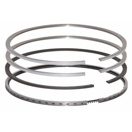 Set segmenti motor Fendt Fi 100 MM F281202310021,F281202310040, F28120231005 Bepco - 1