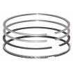 Set segmenti motor Fendt Fi 100 MM F281202310021,F281202310040, F28120231005 Bepco - 1