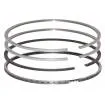 Set segmenti motor Fendt Fi 100 MM F281202310021,F281202310040, F28120231005 Bepco - 1