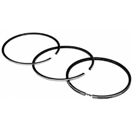 Set segmenti motor Case-IH Fi 98.42 MM 3218416R92, 87556004,3144452R91 Bepco - 1