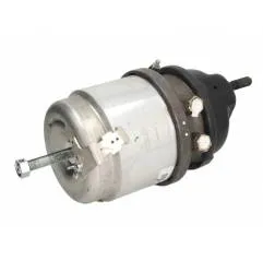 Camera franare disc dubla cap tractor 20X24 - 1