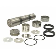 Kit reparatie pivoti Daf LF45 0683466,1895528 - 1