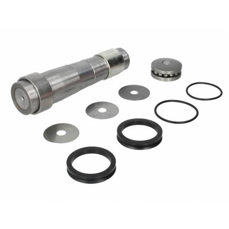 Kit reparatie pivoti Daf LF45 0683466,1895528 - 1