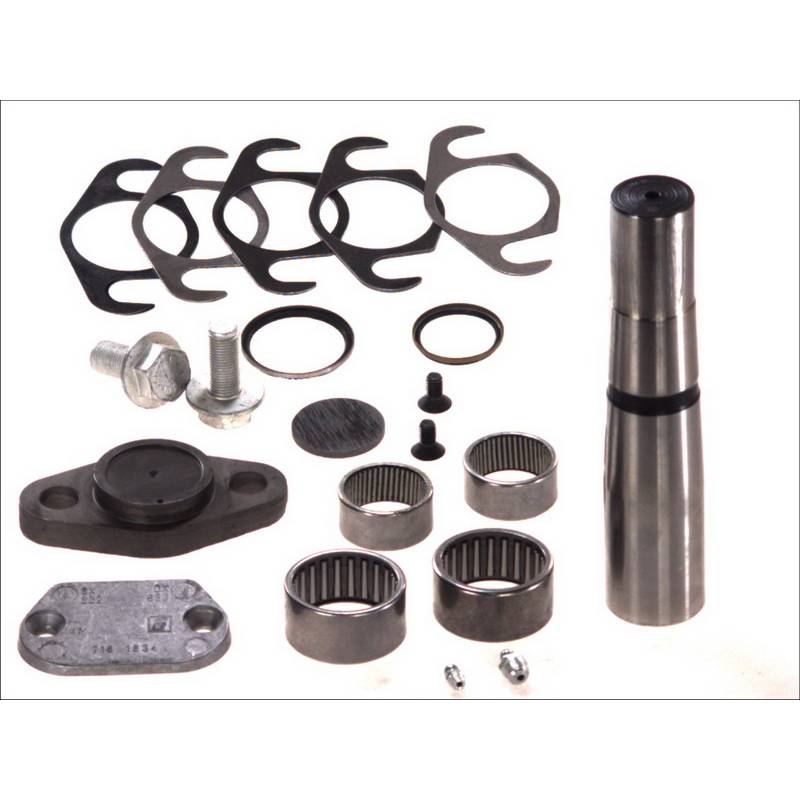 Kit reparatie pivoti Iveco EuroCargo 2995709,7172846 - 1