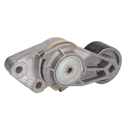 Intinzator curea Renault Magnum 7408149855,VKMCV53005