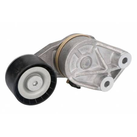 Intinzator curea Renault Magnum 7408149855,VKMCV53005 - 2