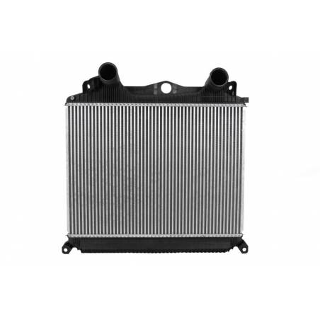 Radiator intercooler Man TGA/TGS 81061300155,81061300179 - 2