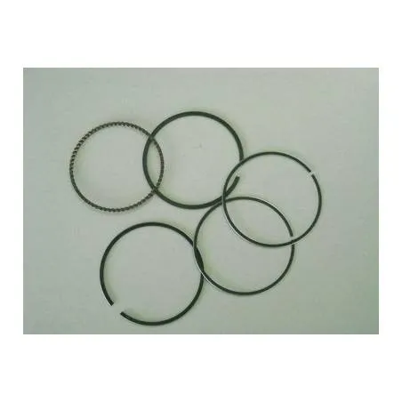 Set Segmenti Motor CASE 714 856 R1 , 714 858 R1 , 714856R1 , 714858R1 , 717859R1 Sparex - 1