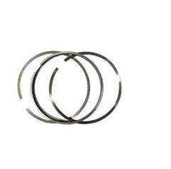 Set segmenti motor 2992157, R67600STD, R67600, 44SIV0140M NPR - 1