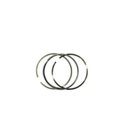 Set segmenti motor 2992157, R67600STD, R67600, 44SIV0140M NPR - 1