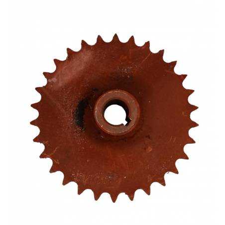 Pinion Culegator de Porumb ZMAJ fi25-Z30 - 1