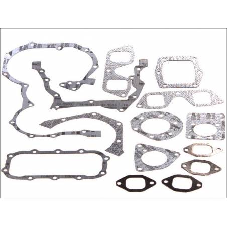 Set complet garnituri motor Iveco EuroCargo 1907851,1907868