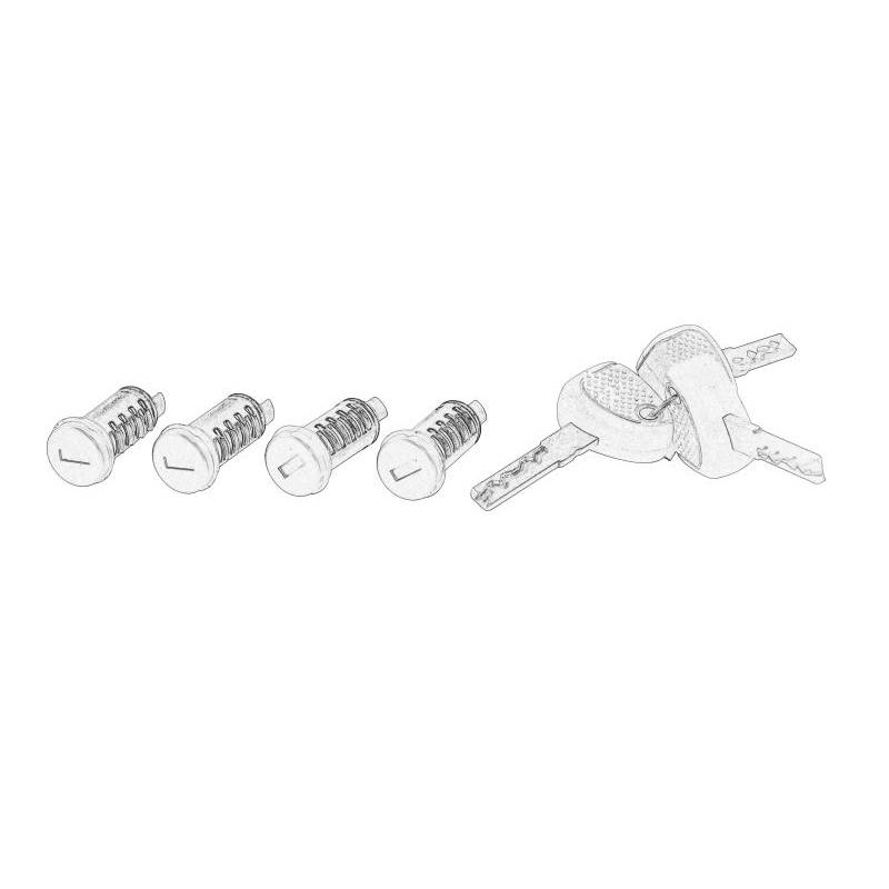 Set contact Iveco Stralis 2996312 - 1