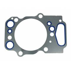 Garnitura chiuloasa Scania 1892766, LE10955.15 - 1