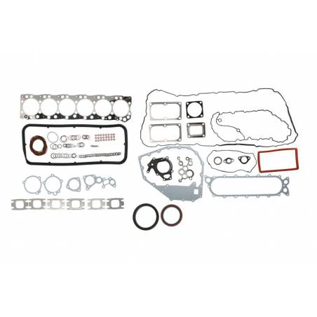 Set complet garnituri motor Iveco Stralis 2996291, 500055152 - 1