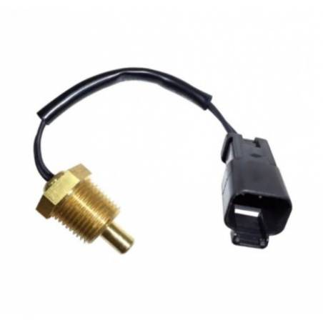 Senzor Temperatura Apa Caterpillar 244-3106, CA2443106, 2443106 - 1