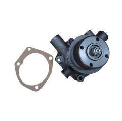 Pompa apa cu fulie Massey Ferguson 3641250M1