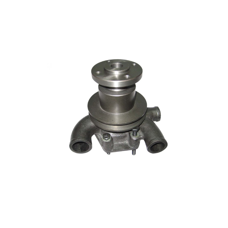 Pompa apa Massey Ferguson cu fulie FI 79,5MM 41312487 - 1