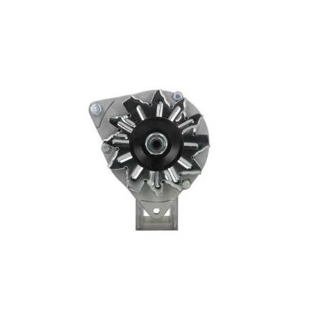 Alternator Massey Ferguson 14V-43AH 188590A1,3538542M91
