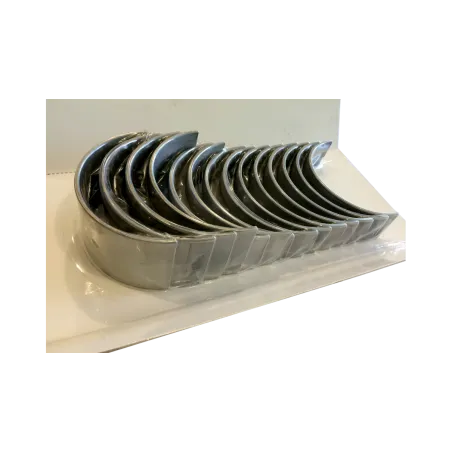 CUZINETI PALIER FENDT R1 0.010'' - 0.25 MM 7701020447 Bepco - 1