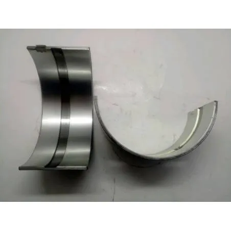 Set Cuzineti Palier 0056225 1011809 1019880 41157205 51776 56225 58704 59617 68082 71011809 736336M91 74505M91 Bepco - 1