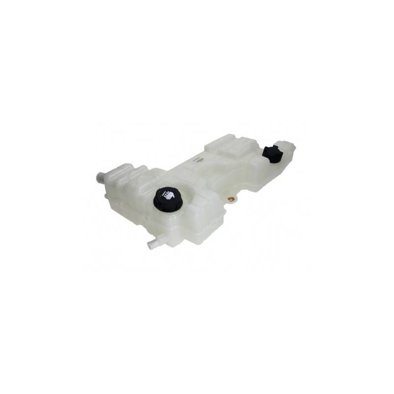 Vas expansiune racire motor Daf 7482582816, 7420828448 - 1