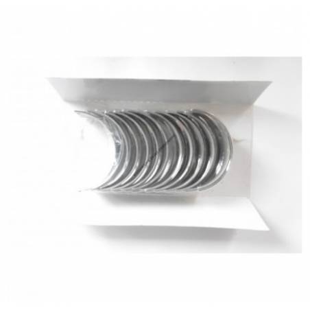 Cuzineti biela Daf 85/95 289326,1284504