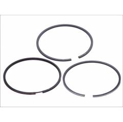 Segmenti motor Man/Fendt 51025037003,F824200310320 - 1