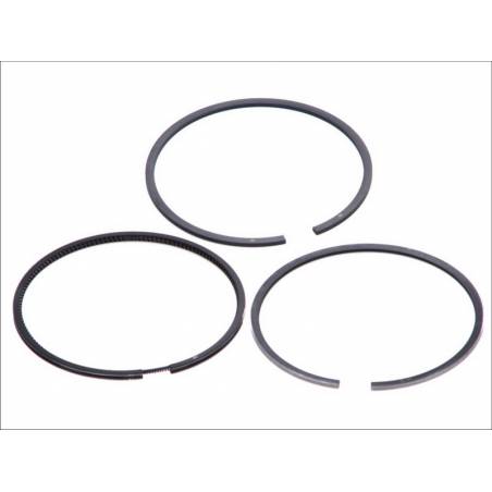 Segmenti motor Man/Fendt 51025037003,F824200310320 - 1