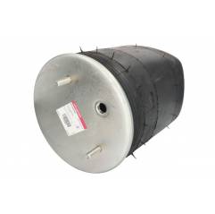 Perna aer completa BPW 0542940030,54119