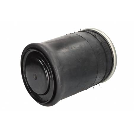 Perna aer completa spate dreapta Man TGA/TGM/TGS/TGX 81436006035,81436010174