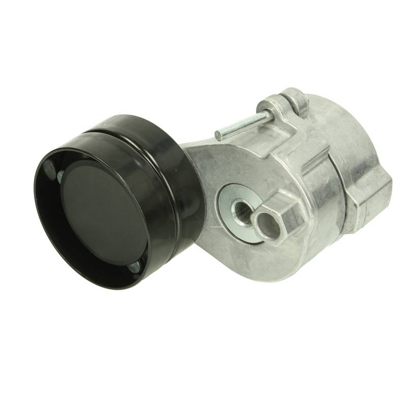 Intinzator curea Renault Premium 7421500149,7420939284 - 1