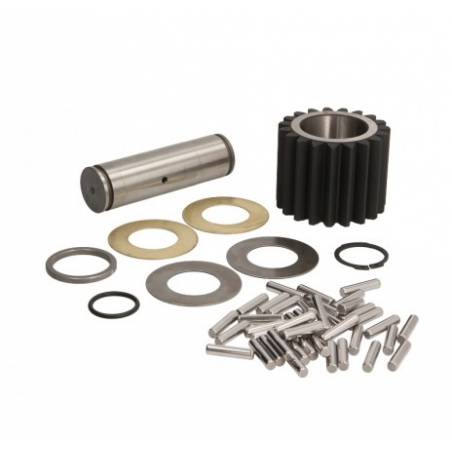 Set roti planetare diferential Volvo/Renault 7421302579,21302579 - 1