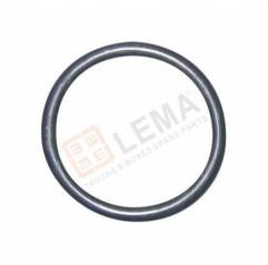 Oring chiuloasa Iveco Cursor 13 99455400,LE125004