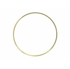 Inel chiuloasa Iveco Stralis/Trakker Cursor 13 99448193,LE19290.20