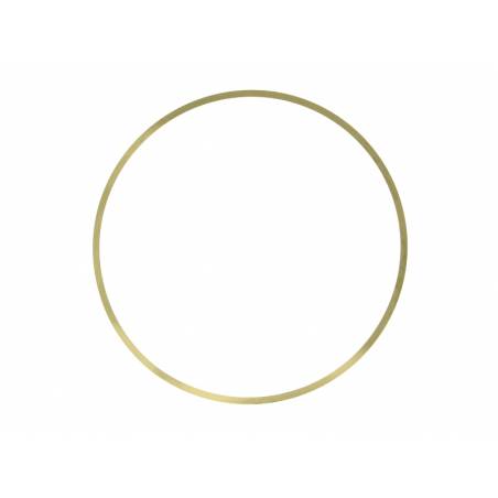 Inel chiuloasa Iveco Stralis/Trakker Cursor 13 99448193,LE19290.20