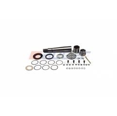 Kit reparatie pivoti Volvo 276014,276029 - 1