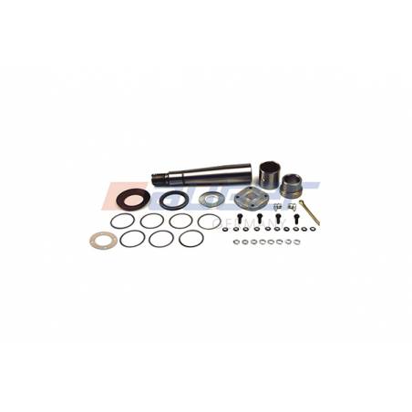 Kit reparatie pivoti Volvo 276014,276029 - 1