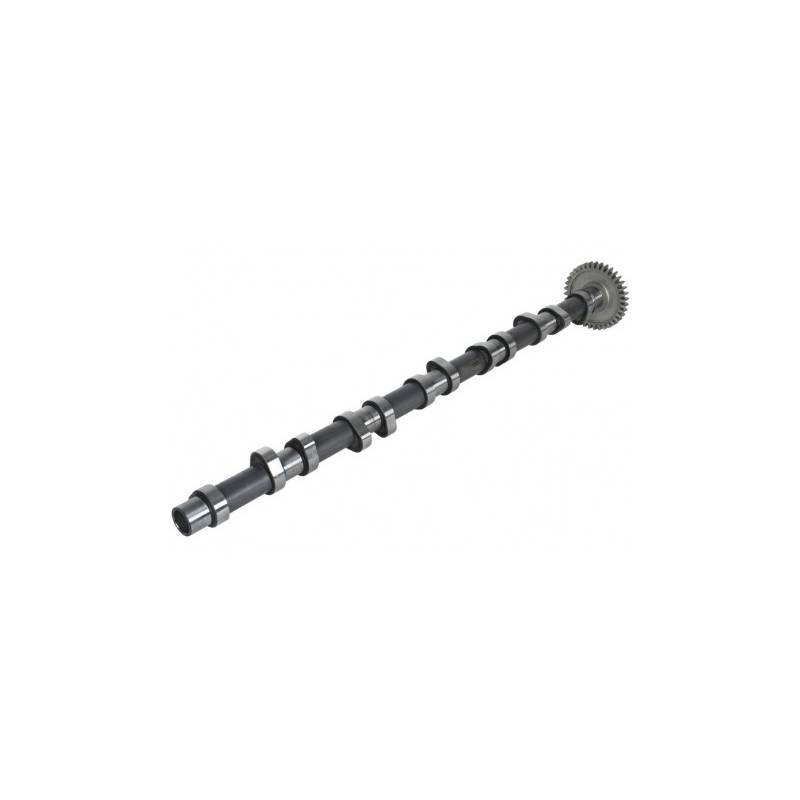 Ax came motor Man TGA 51044016398,20100220662 - 1