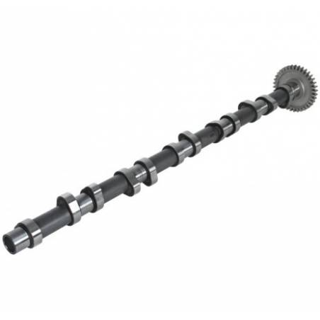 Ax came motor Man TGA 51044016398,20100220662 - 1