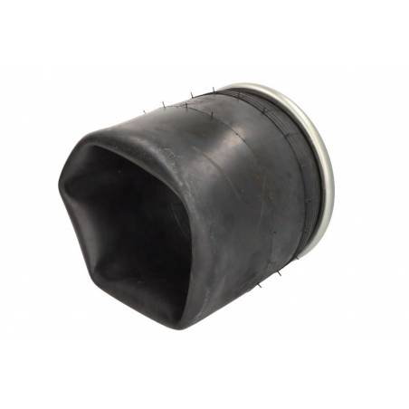 Perna aer completa BPW 4960NP02,0542941770