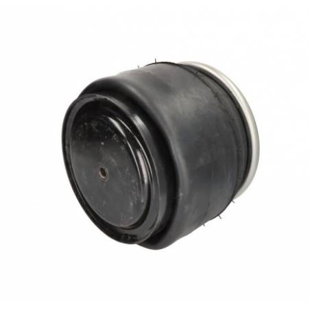 Perna aer completa cu doua alimentari Daf CF/XF 1697678,388165 - 1