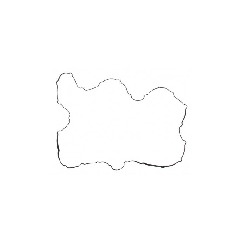 Garnitura capac culbutori Iveco EuroTrakker/Stralis 500309014,EL569330 - 1