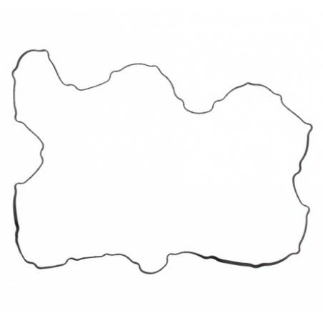 Garnitura capac culbutori Iveco EuroTrakker/Stralis 500309014,EL569330 - 1