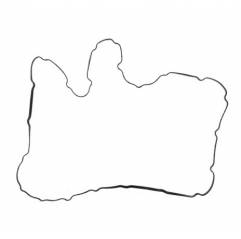 Garnitura capac culbutori motor F3AE0681 Iveco Stralis/EuroTrakker 500323899,500323989 - 1